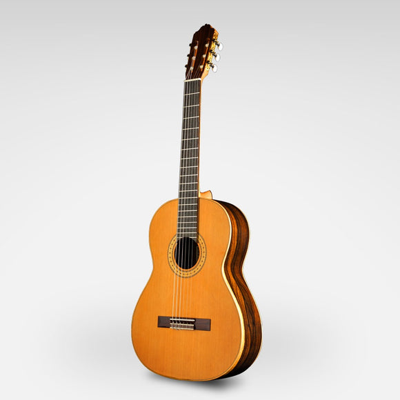 Esteve (3Z) Zirocote Classical Guitar - Solid Top