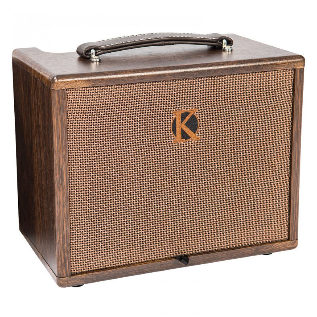 Acoustic Guitar Amplifiers