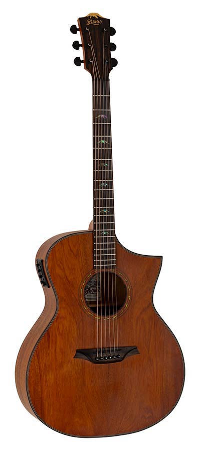 Electro Acoustic Guitars