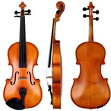 Hidersine Vivente 4/4 Violin Outfit