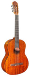 Jose Ferrer Molosa 4/4 Classical Guitar + Gig Bag