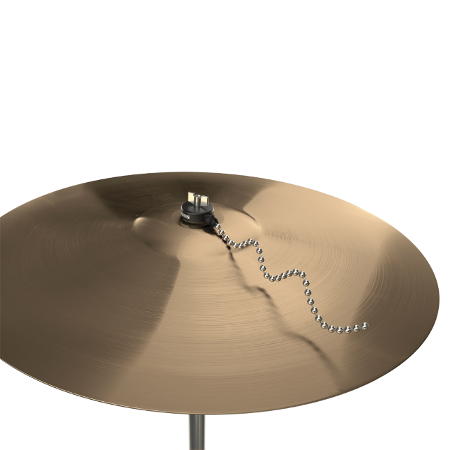 Evans EVCYMSZ1 Cymbal Sizzler - Two Chains