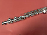 USED Trevor James TJ10 Flute Outfit