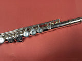 USED Trevor James TJ10 Flute Outfit