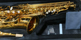 Concordia CAS-25 Alto Saxophone Outfit