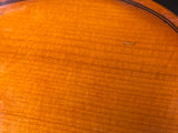 Ex Rental 1/2 size Stentor Student Violin Outfit