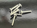 WE973000 Bind Head Tapping Screw-P 3.0 x 16 MFZN2W3  [24]