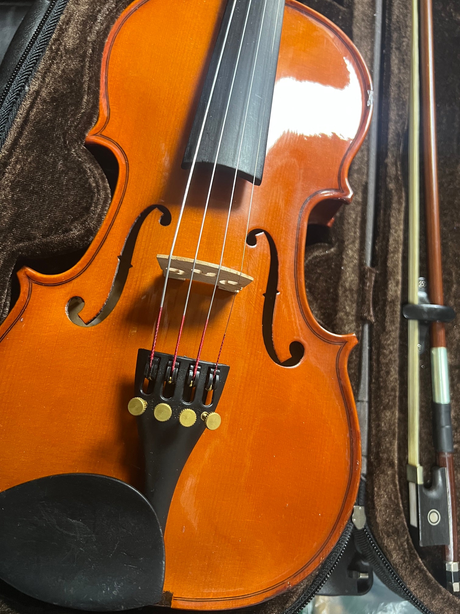 Used  Stentor Student Standard 1/2 Violin Outfit [5186]