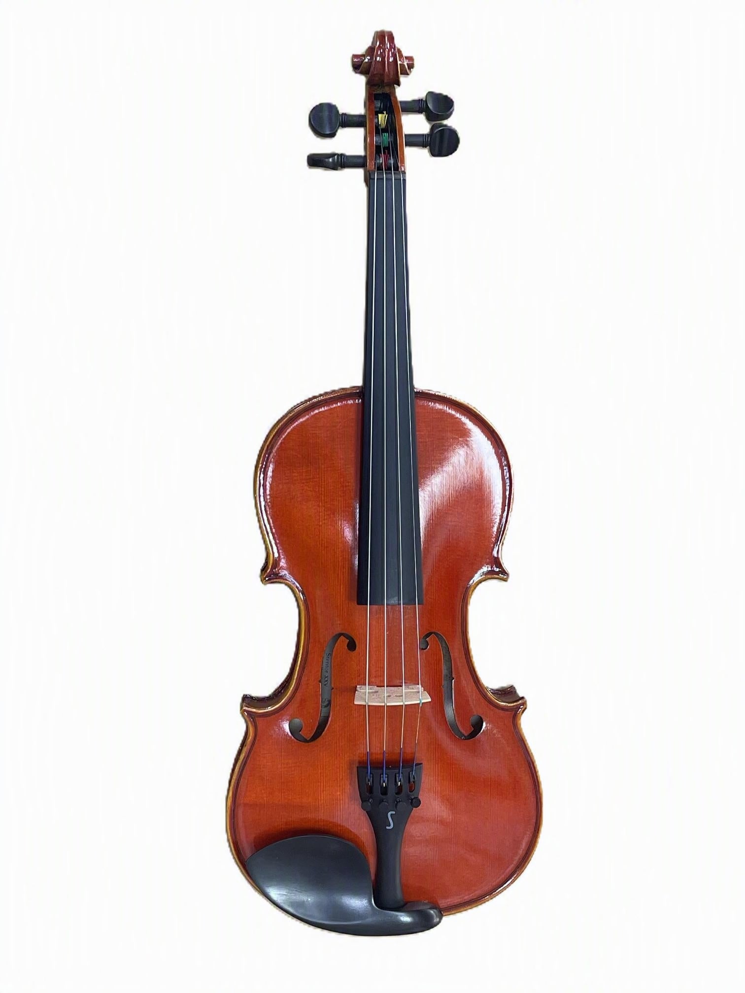 Stentor XXV 25th Anniversary 4/4 Violin Outfit - D'Addario Prelude Edition