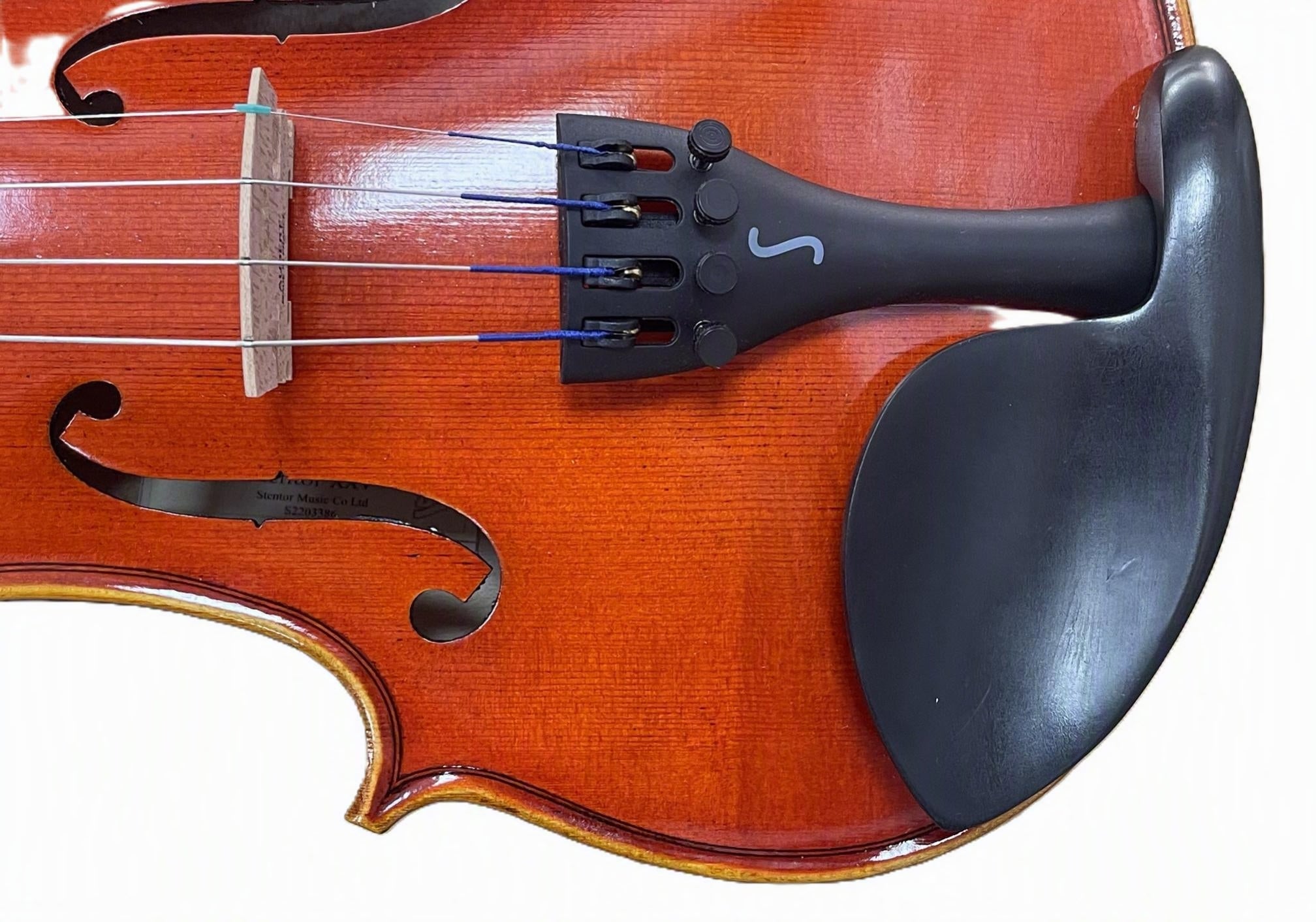 Stentor XXV 25th Anniversary 4/4 Violin Outfit - D'Addario Prelude Edition