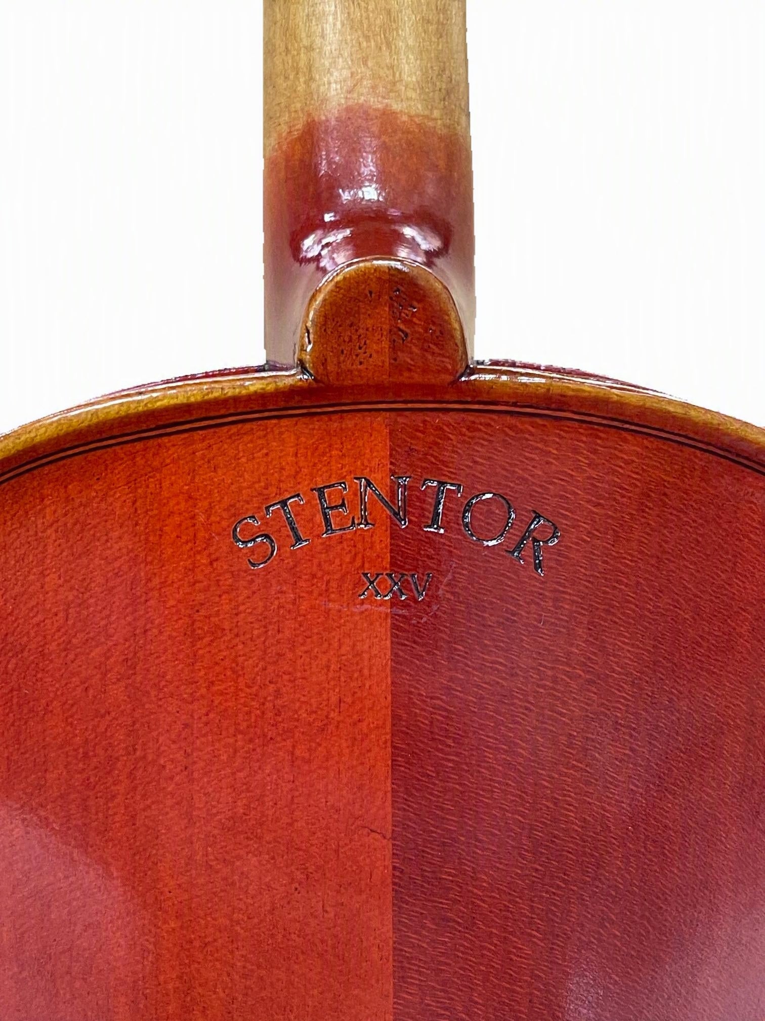 Stentor XXV 25th Anniversary 4/4 Violin Outfit - D'Addario Prelude Edition