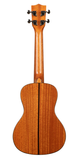 Kala KA-SCG Solid Spruce Top Concert Ukulele