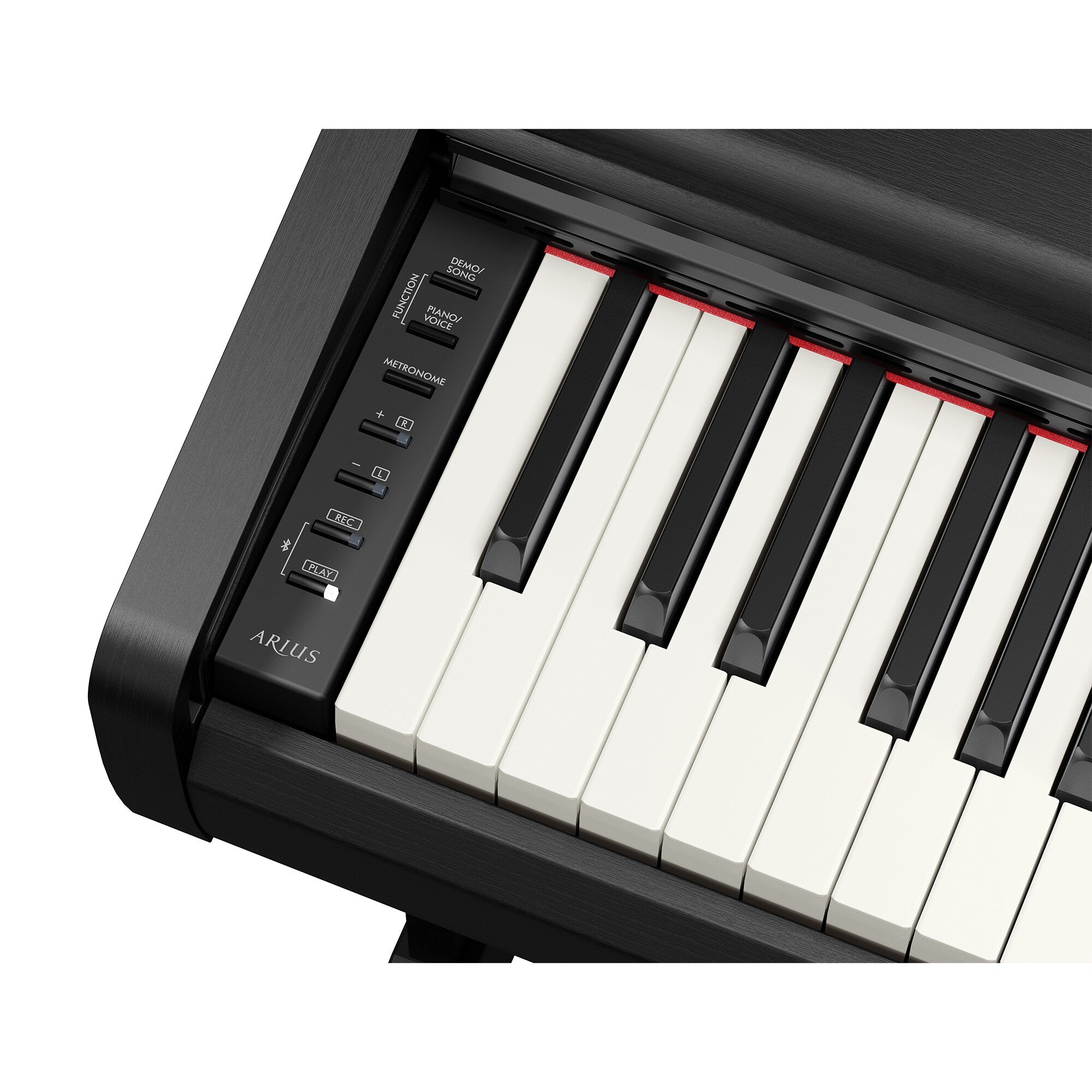 Yamaha Arius YDP-146B Digital Piano - Black Walnut