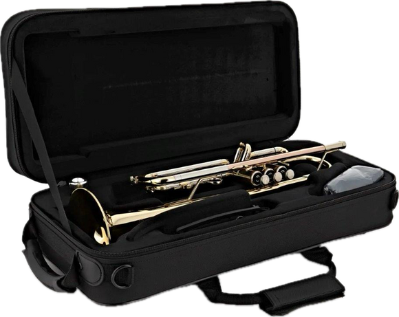 Elkhart 100TR Bb trumpet outfit