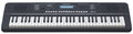 Medeli MK110BK Millenium Series 61 Key Keyboard