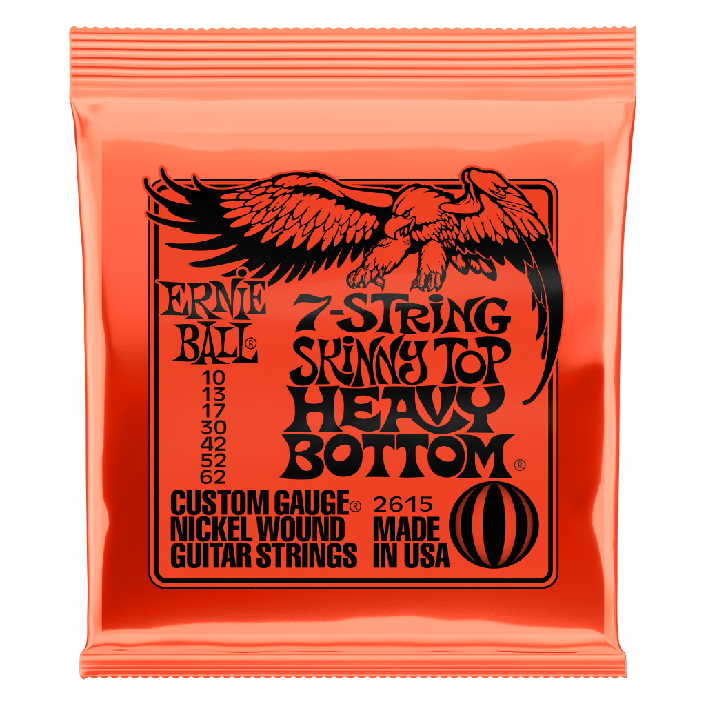 Ernie Ball Skinny Top Heavy Bottom 7 Electric Guitar Strings 10 - 62