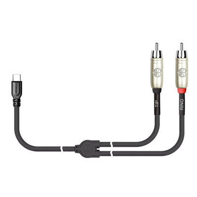 Kirlin 2m USB-C Plug - 2x RCA Plugs