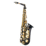100ASBK - Elkhart By Conn Selmer - Black & Gold Eb Alto Saxophone Outfit