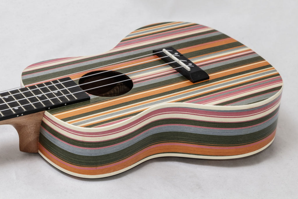 Adam Black (ABUKC130RB) Rainbow Concert Ukulele
