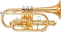 Yamaha YCR4330G-II Cornet Outfit - Gold Lacquer  *N