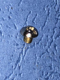 Saxophone guard screw