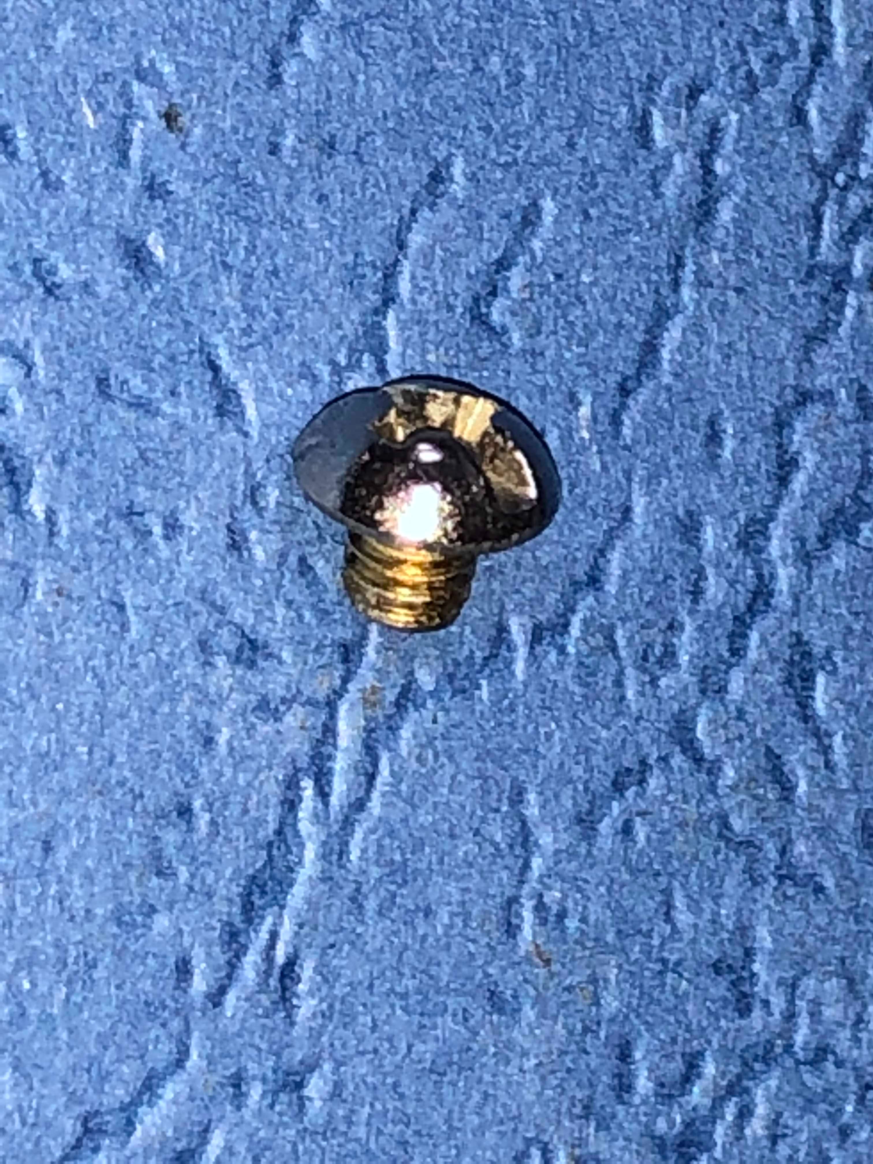 Saxophone guard screw