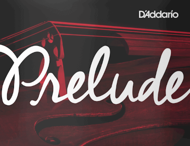 Prelude By D'Addario 4/4 Cello D String - J1012 4/4M