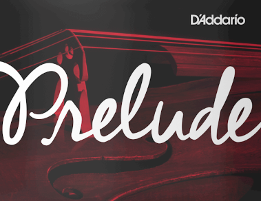 Prelude By D'Addario (J1013 4/4M) 4/4 Cello G String