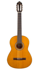 Valencia VC204NA 4/4 Classical Guitar - 200 Satin Series
