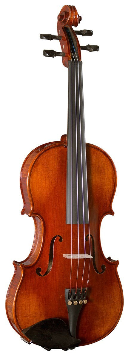 Hidersine Piacenza 4/4 violin outfit