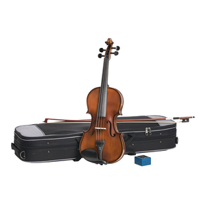 Stentor Graduate 1/4 Violin Outfit