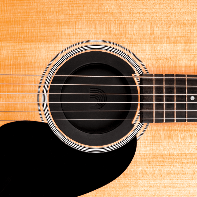 D'Addario PW-SH-01 Feedback Suppressor - Sound Hole Cover