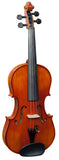 Hidersine Violin Vivente Academy 4/4 Finetune Outfit.